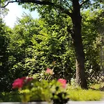 Csendes Pihenes Az Erdo Mellett - Madarfuettyoes Vendeghaz *