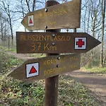 Csendes Pihenes Az Erdo Mellett - Madarfuettyoes Vendeghaz * Pilisszentlaszlo