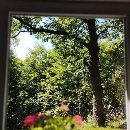 Csendes Pihenes Az Erdo Mellett - Madarfuttyos Vendeghaz Holiday home Pilisszentlaszlo