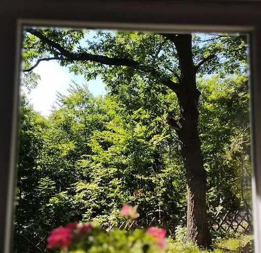 Csendes Pihenes Az Erdo Mellett - Madarfuettyoes Vendeghaz Holiday home Pilisszentlaszlo