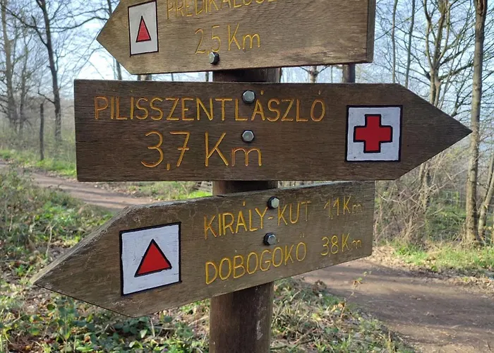 Csendes Pihenes Az Erdo Mellett - Madarfuettyoes Vendeghaz * Pilisszentlaszlo